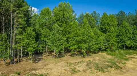Other - 2222 High Ground Rd, Guild, TN 37340 photo 20 of 48