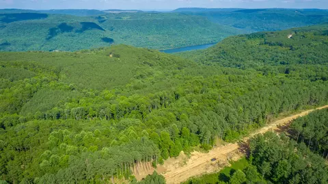 View/Area - 2222 High Ground Rd, Guild, TN 37340 photo 25 of 60