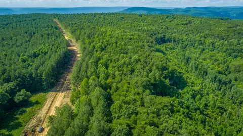 Other - 2222 High Ground Rd, Guild, TN 37340 photo 33 of 48