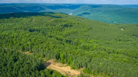 Other - 2222 High Ground Rd, Guild, TN 37340 photo 36 of 48