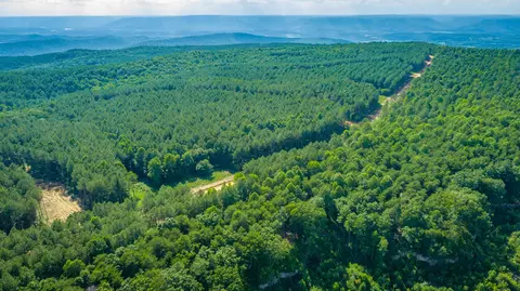 View/Area - 2222 High Ground Rd, Guild, TN 37340 photo 31 of 60
