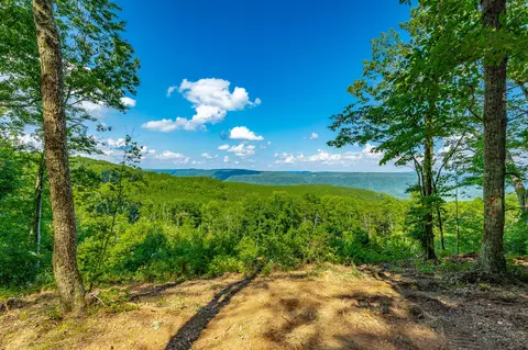 View/Area - 2222 High Ground Rd, Guild, TN 37340 photo 7 of 60