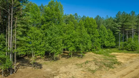 Other - 2222 High Ground Rd, Guild, TN 37340 photo 18 of 48