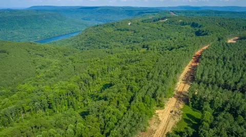View/Area - 2222 High Ground Rd, Guild, TN 37340 photo 26 of 60