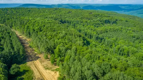 Other - 2222 High Ground Rd, Guild, TN 37340 photo 34 of 48