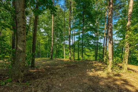 Exterior - 2222 High Ground Rd, Guild, TN 37340 photo 11 of 14