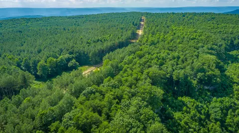 View/Area - 2222 High Ground Rd, Guild, TN 37340 photo 23 of 60