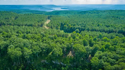 View/Area - 2222 High Ground Rd, Guild, TN 37340 photo 21 of 60