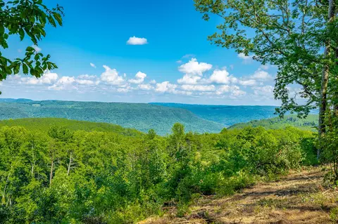 View/Area - 2222 High Ground Rd, Guild, TN 37340 photo 8 of 60