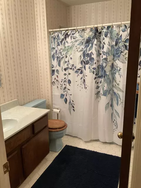 Bath - 5016 Silver Ln, Apison, TN 37302 photo 3 of 3
