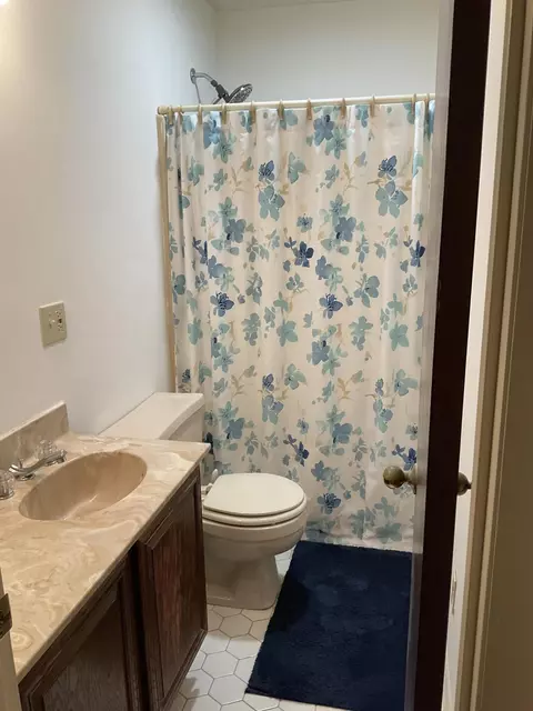 Bath - 5016 Silver Ln, Apison, TN 37302 photo 1 of 3