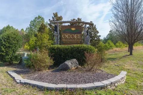 View/Area - 123 Cherokee Ridge Dr, Ocoee, TN 37361 photo 5 of 5