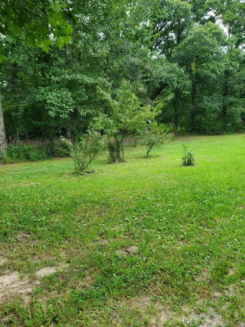 Exterior - 103 Stooping Oak Rd, Dunlap, TN 37327 photo 9 of 17