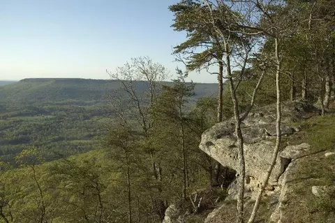 View/Area - 600 Tatum Mining Rd, Cloudland, GA 30731 photo 3 of 6