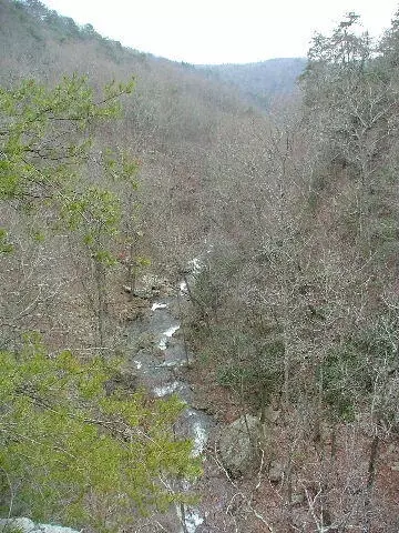View/Area - 600 Tatum Mining Rd, Cloudland, GA 30731 photo 4 of 6