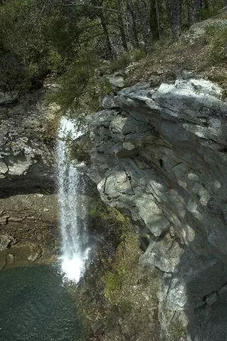 Other - 600 Tatum Mining Rd, Cloudland, GA 30731 photo 7 of 9