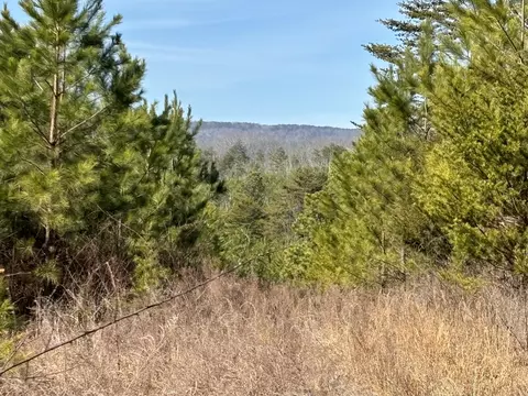 0 Vaughn Mill Rd, Evensville, TN 37332