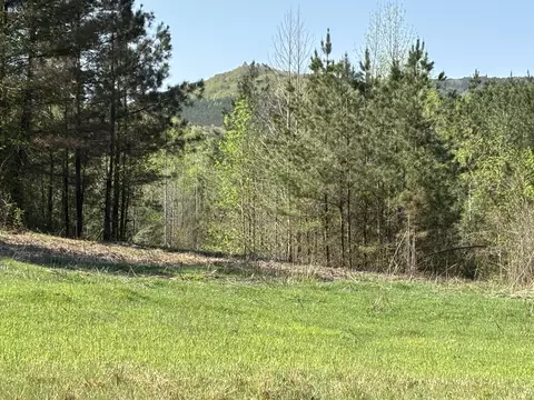 108 Leggett Rd, Sale Creek, TN 37373