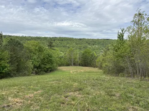 367 Leggett Rd, Sale Creek, TN 37373