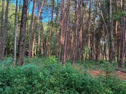 100 County Road 262 #LOT 4, Niota, TN 37826