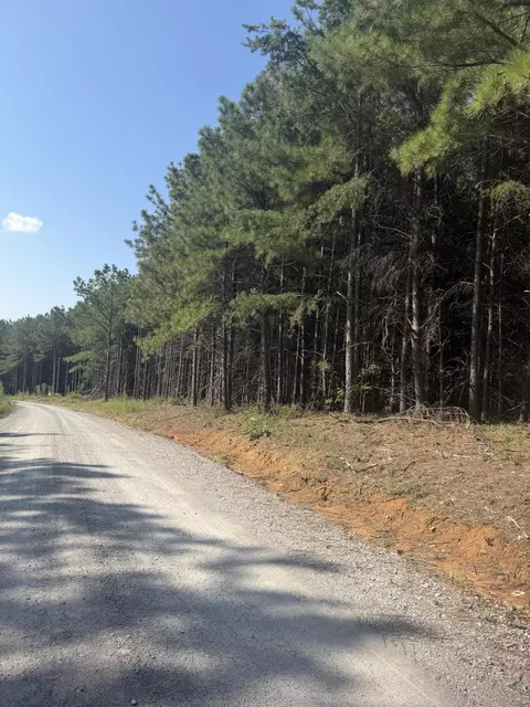 0 Topside Rd #98, Dunlap, TN 37327 photo 6