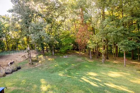 Exterior - 290 Potts Rd, Ringgold, GA 30736 photo 16 of 20