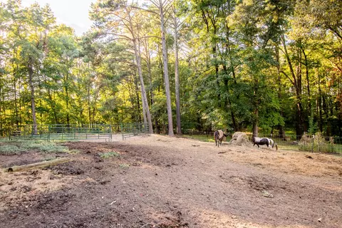 Exterior - 290 Potts Rd, Ringgold, GA 30736 photo 5 of 20