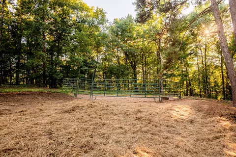 Exterior - 290 Potts Rd, Ringgold, GA 30736 photo 12 of 20