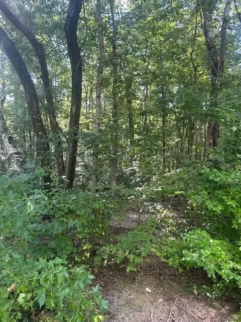 157 Highway 157, Rising Fawn, GA 30738