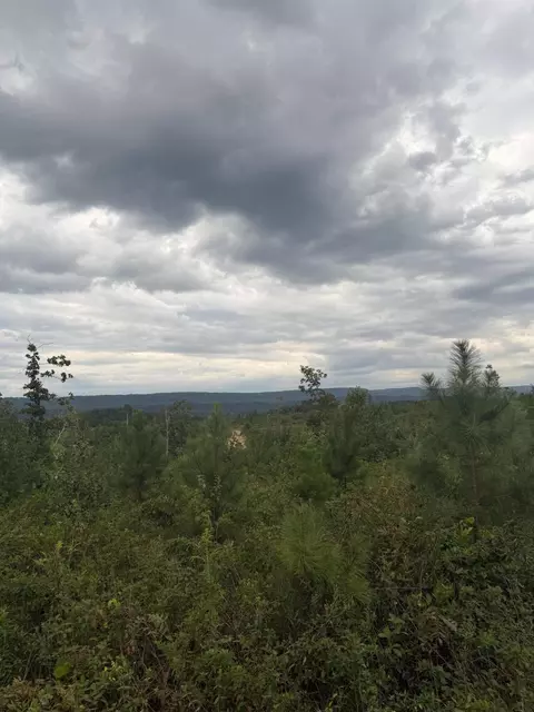 Lot 2 Bethel Road #2, Hammondville, AL 35989
