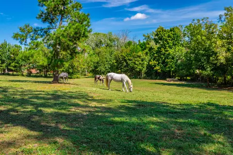 Other - 3481 Post Oak Rd, Ringgold, GA 30736 photo 13 of 20