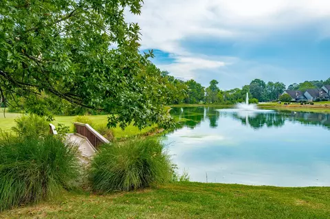 View/Area - 1791 Windstone Dr, Ringgold, GA 30736 photo 8 of 13