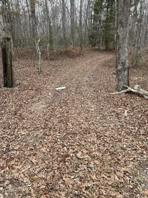 0 Joe Groves Rd, Pikeville, TN 37367