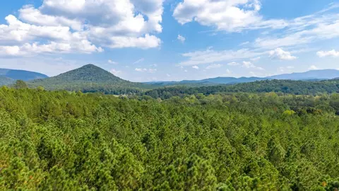 View/Area - 300 Bullens Rd, Ocoee, TN 37361 photo 5 of 7