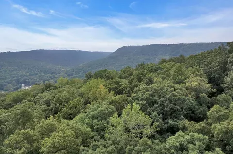 0 Browbend Dr #LOT 18, Guild, TN 37340 photo 7