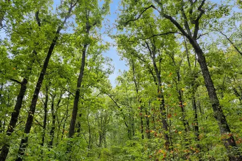 0 Browbend Dr #LOT 18, Guild, TN 37340 photo 5
