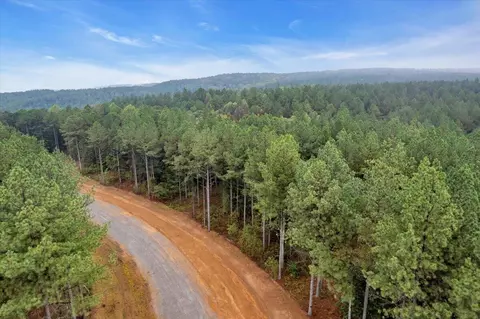 0 Crescent Ct #LOT 2030, Guild, TN 37340 photo 10