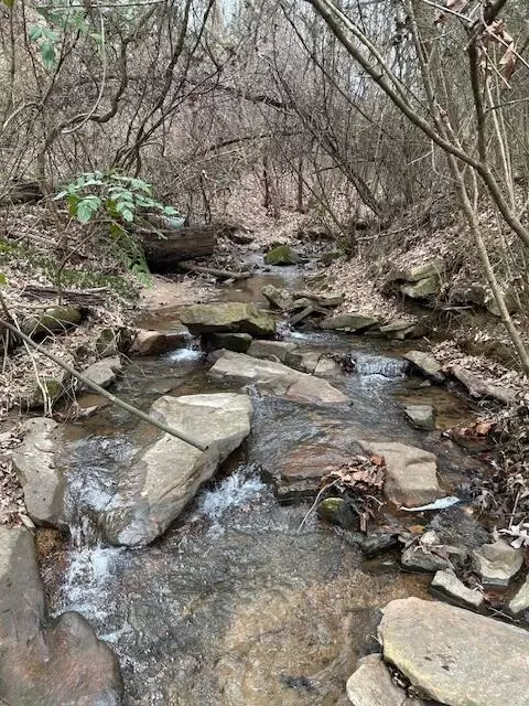 1007 Evanwood Dr E, Lookout Mountain, TN 37350