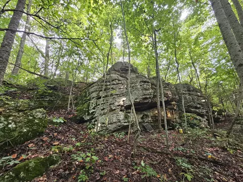 9 Myers Town Rd, Beersheba Springs, TN 37305