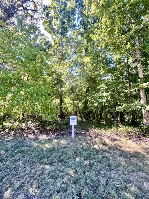 363 Ridgeway Pass, Spring City, TN 37381
