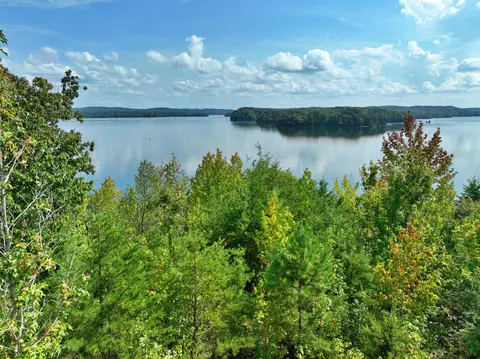 4 95 Acres Waterside Way, Spring City, TN 37381