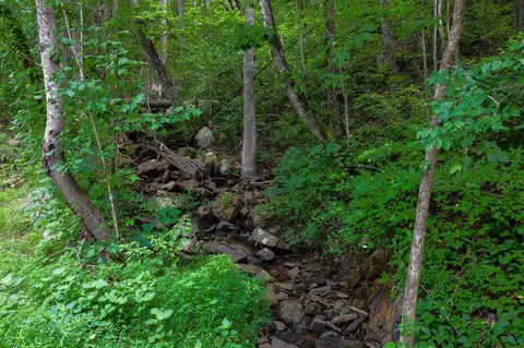 0 Lee Station Mountain Rd #TRACT 10, Pikeville, TN 37367