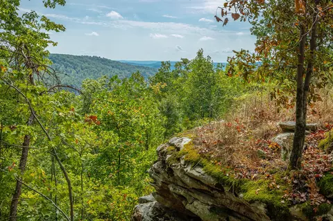 0 Split Rail Way #LOT 1358, Guild, TN 37340 photo 49