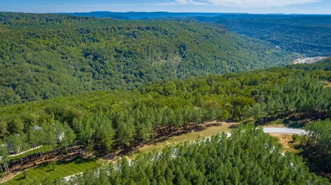 0 Split Rail Way #LOT 1358, Guild, TN 37340 photo 90