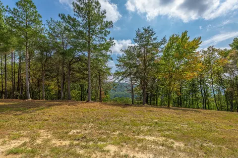 0 Split Rail Way #LOT 1358, Guild, TN 37340 photo 31
