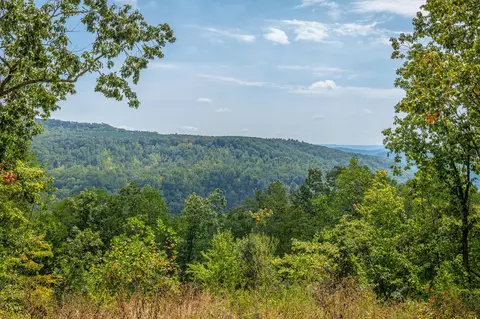 0 Split Rail Way #LOT 1358, Guild, TN 37340 photo 9