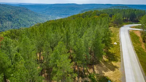 0 Split Rail Way #LOT 1358, Guild, TN 37340 photo 81