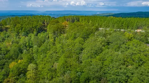 0 Split Rail Way #LOT 1358, Guild, TN 37340 photo 78
