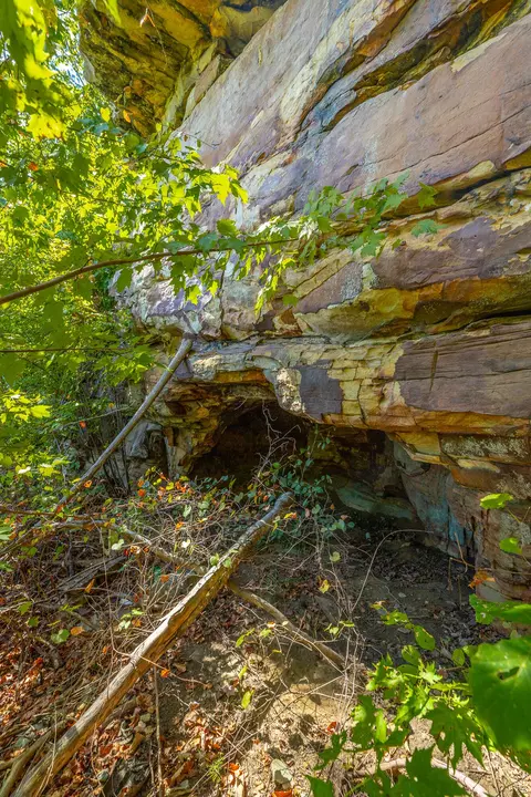 0 Split Rail Way #LOT 1358, Guild, TN 37340 photo 63