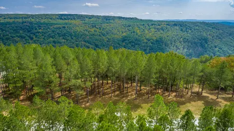 0 Split Rail Way #LOT 1358, Guild, TN 37340 photo 71